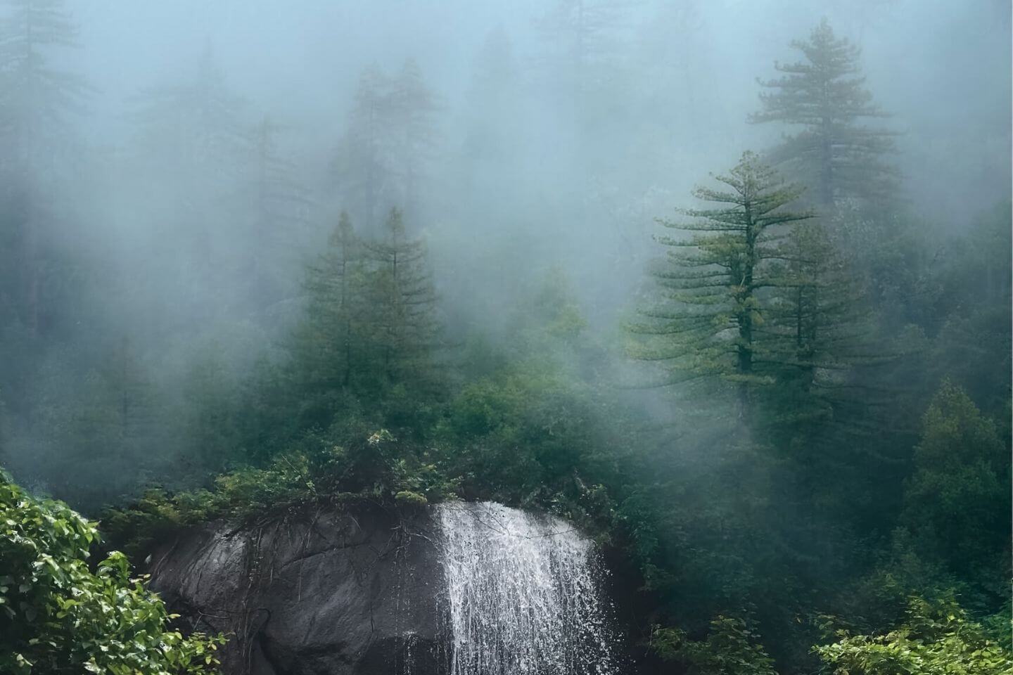 Ooty Popular Hill Station near by Hyderabad