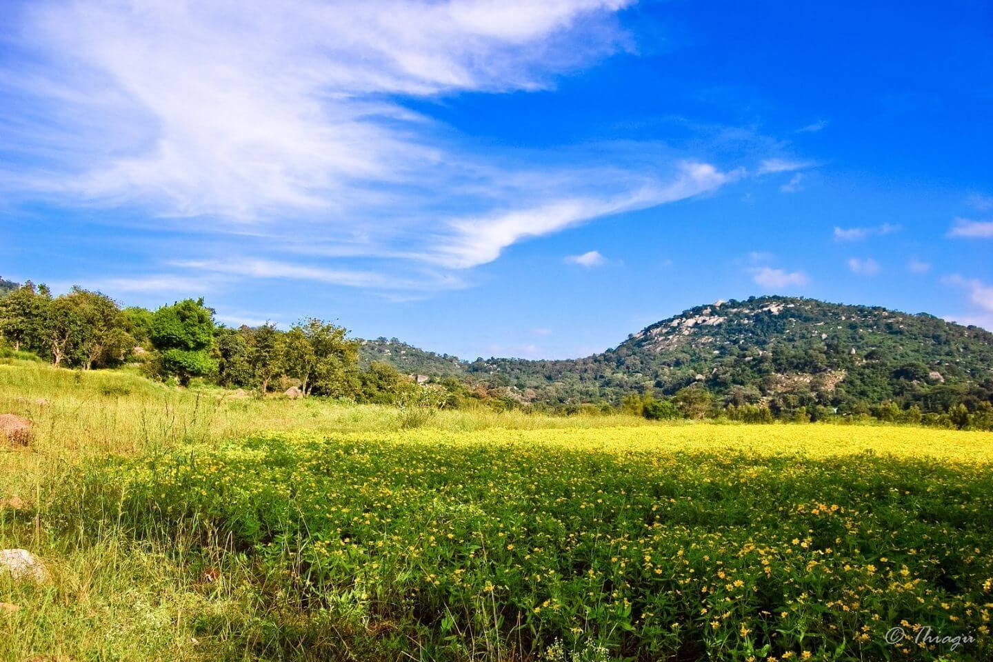 Yelagiri Hills - Popular Hill Station from Hyderabad