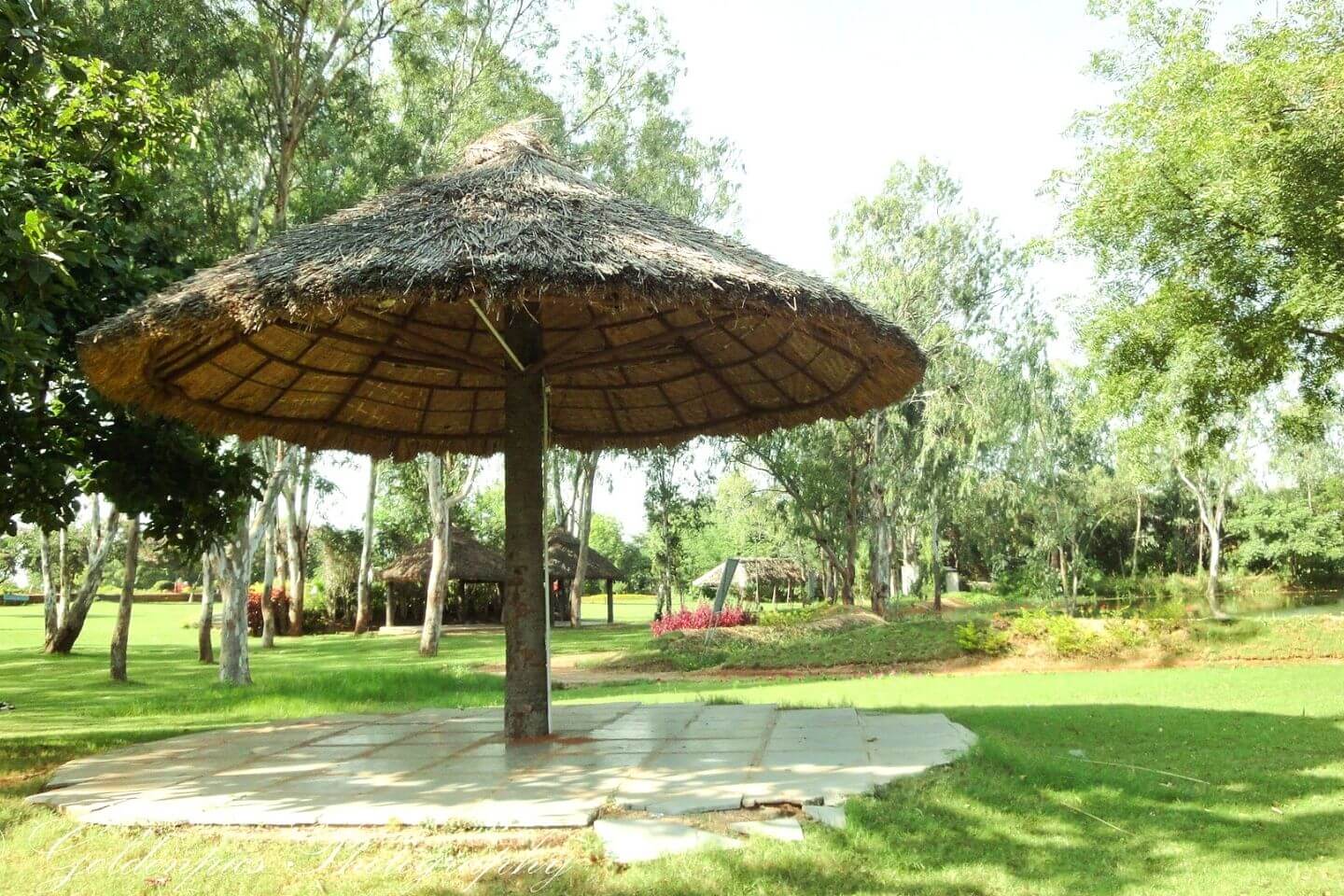 Botanical Gardens Hyderabad Popular Picnic Place