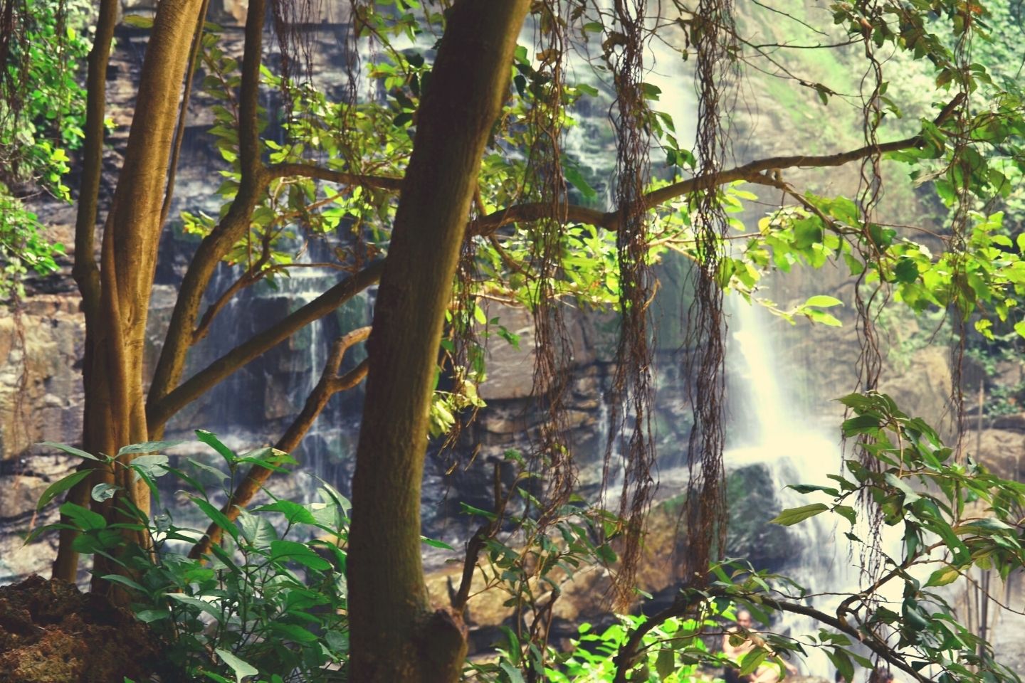 Mallela Theertham Waterfalls Picnic Place to visit near Hyderabad with Family