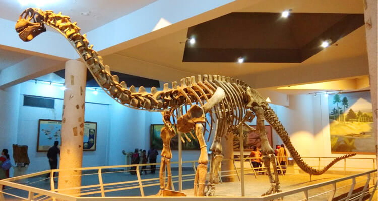 Birla Science Museum Hyderabad Timings Entry Ticket Cost Price Fee 