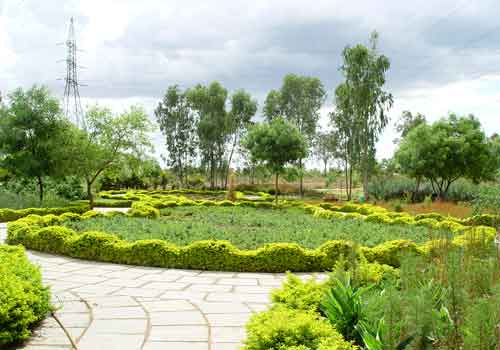 Kotla vijayabhaskara reddy botanical garden