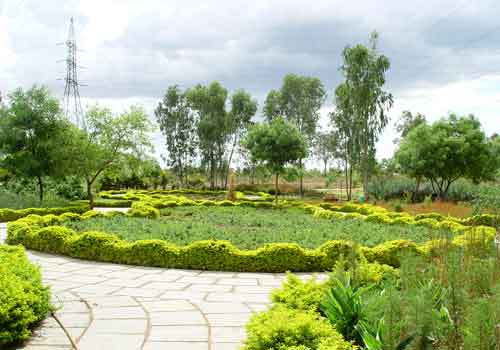 Kotla vijayabhaskara reddy botanical garden Kotla vijayabhaskara reddy botanical garden