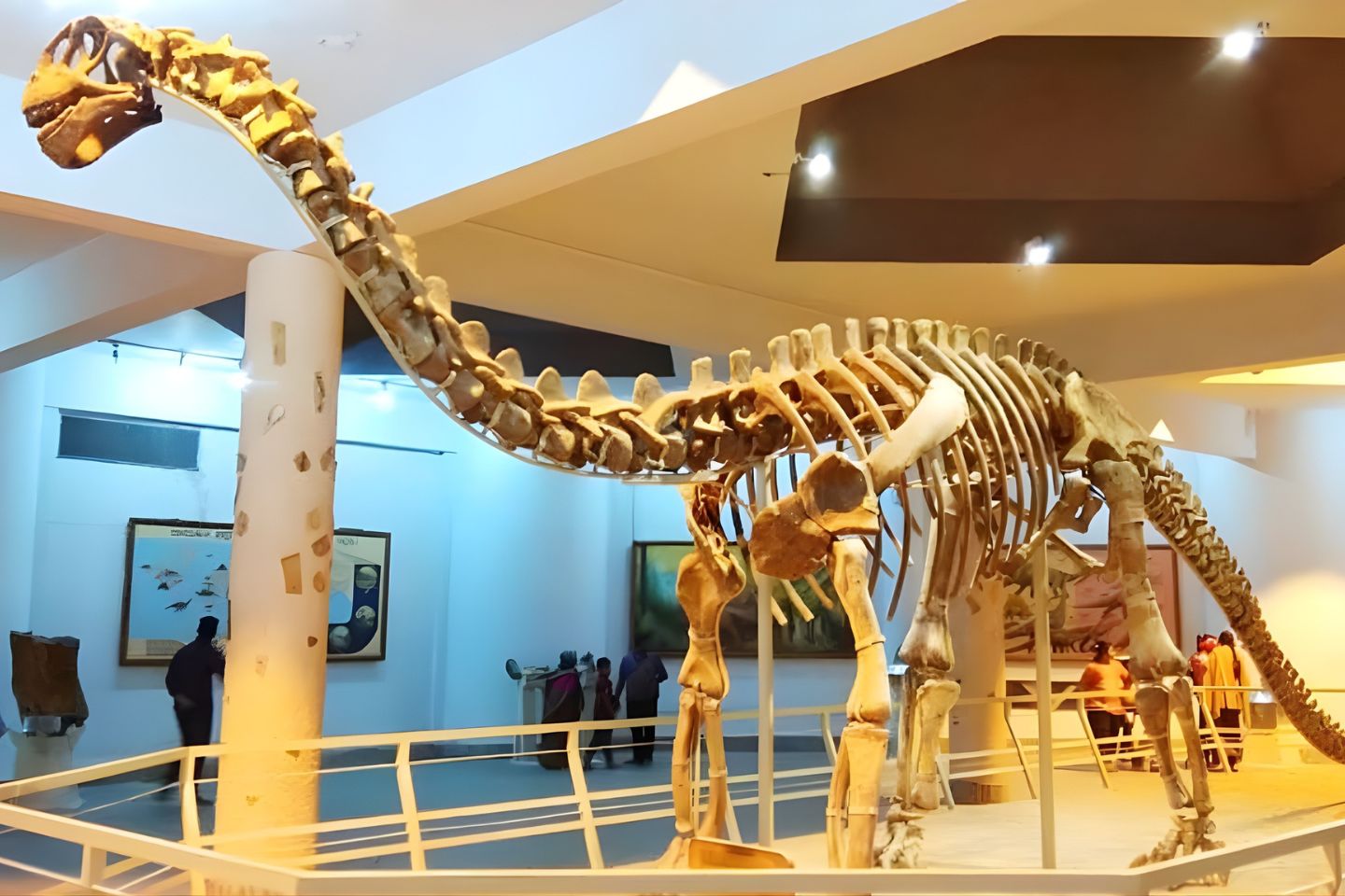 Natural History Museum