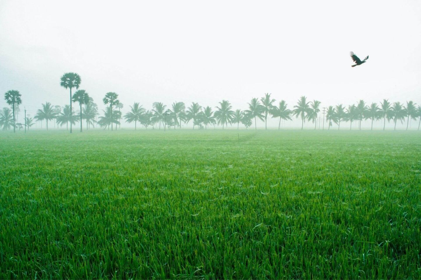 15 Amazing Weekend Getaways from Hyderabad