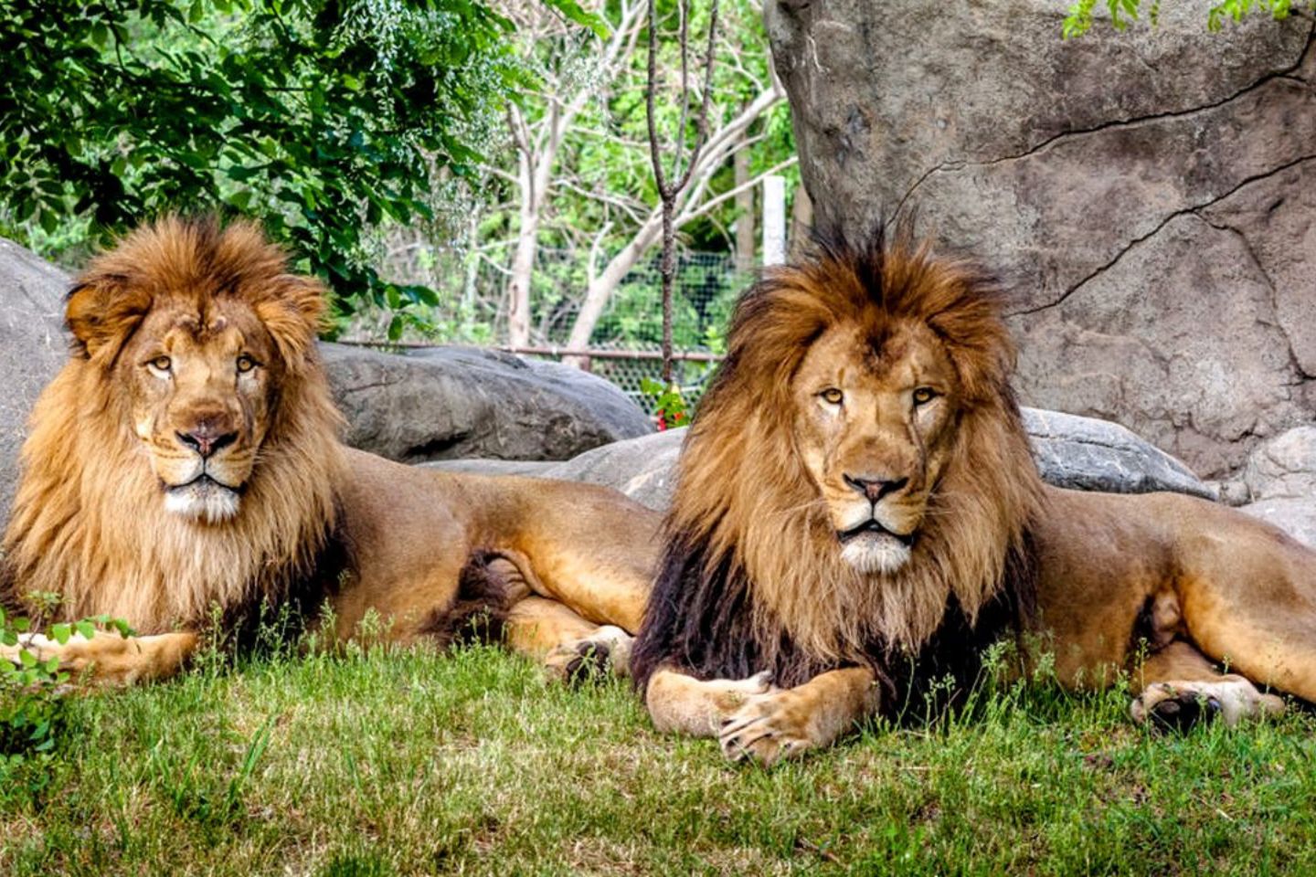 Nehru Zoo Park Hyderabad