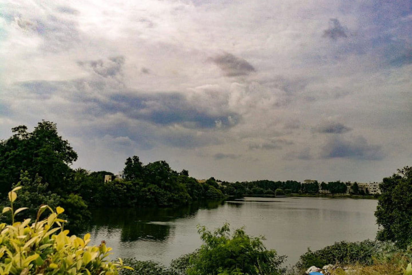 Safilguda Lake