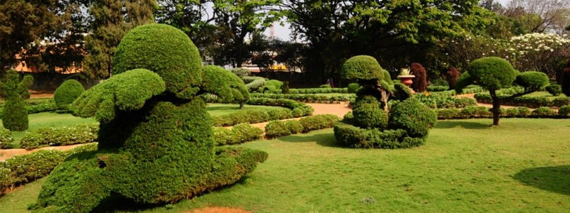 Botanical Gardens Hyderabad Timings & Entry Fee